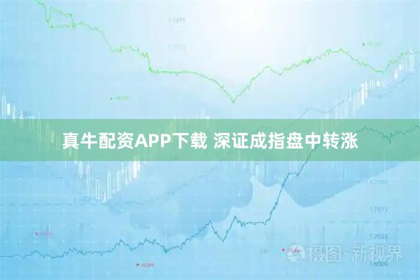 真牛配资APP下载 深证成指盘中转涨