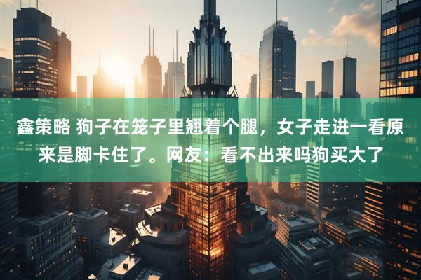 鑫策略 狗子在笼子里翘着个腿，女子走进一看原来是脚卡住了。网友：看不出来吗狗买大了